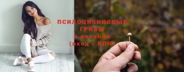 ПСИЛОЦИБИНОВЫЕ ГРИБЫ Надым