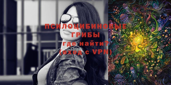 ПСИЛОЦИБИНОВЫЕ ГРИБЫ Надым