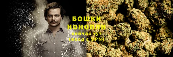 ПСИЛОЦИБИНОВЫЕ ГРИБЫ Надым